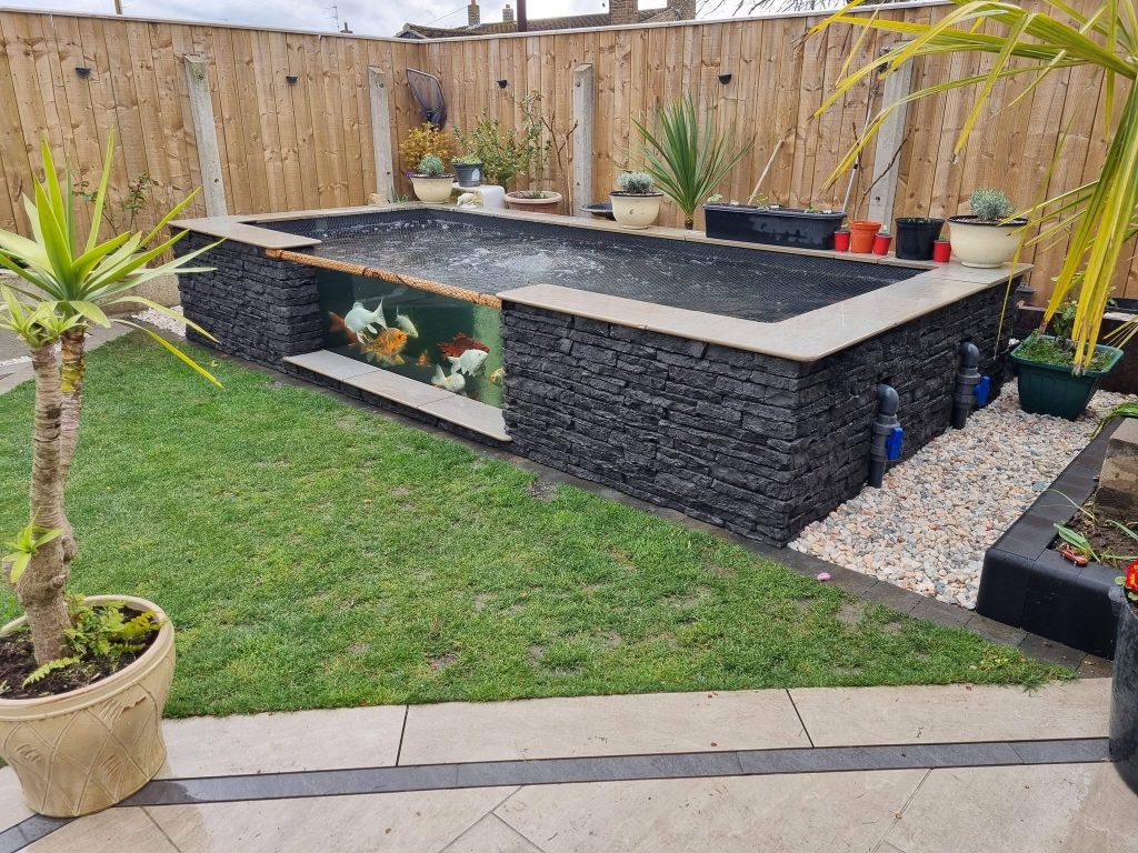 Japanese style Koi Pond with fish decorated with stone - garden revamping project